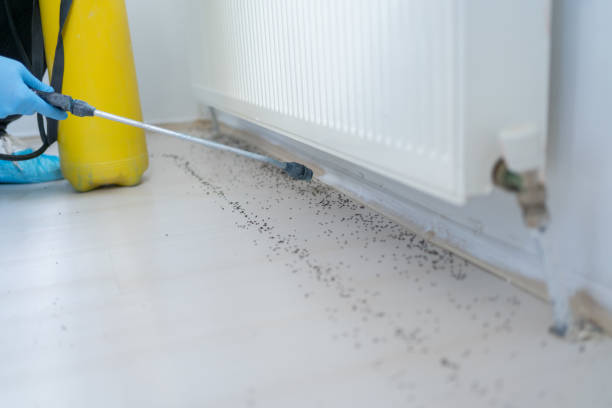 Best Pest Prevention Services  in Garner, IA